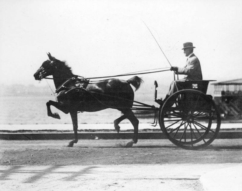 a-sunday-drive-at-english-bay-1910